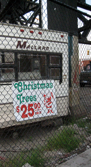 cheap dead trees is what christmas is all about.